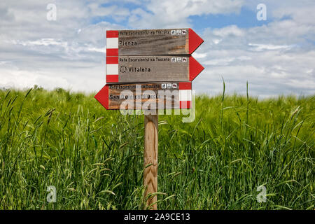 Hiker signboard in a green wheat field in Tuscany near Pienza, Vitaleta and San Quirico d`Orcia, Tuscany, Italy Stockfoto